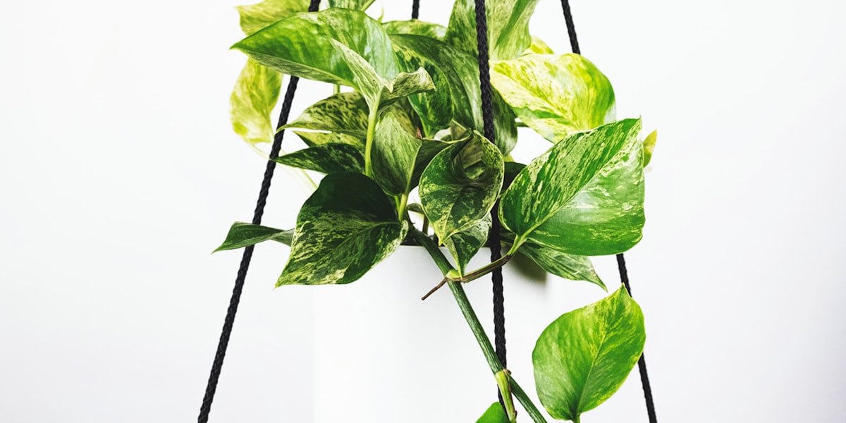 欧洲五大足球联赛精彩集锦与赛事分析专题图片